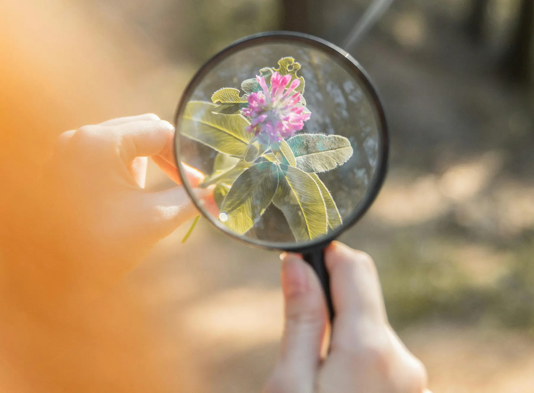 Financial Insights & Guidance
