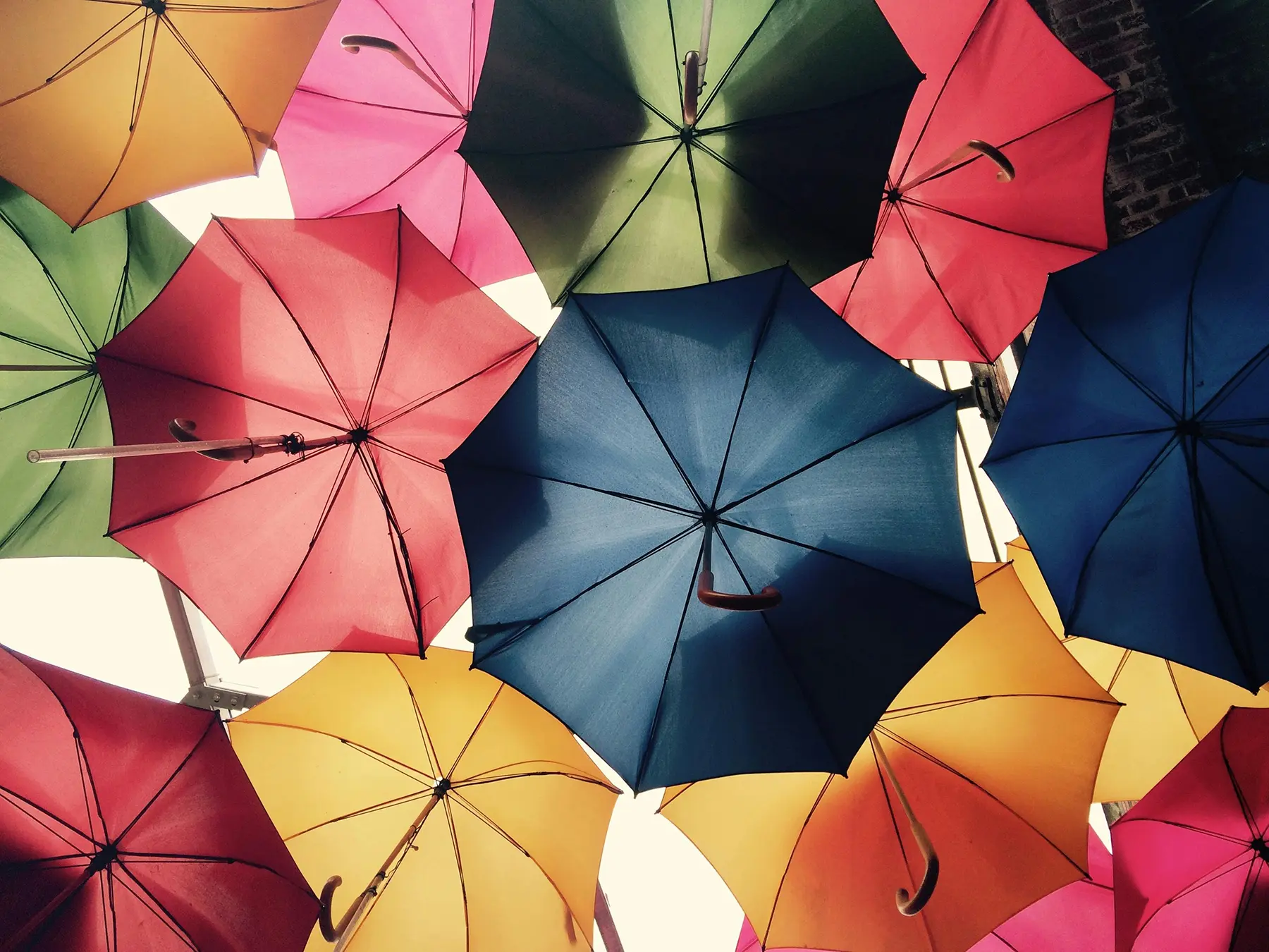 Risk Management & Insurance